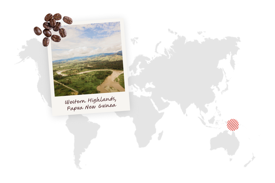 Papua New Guinea Western Highlands - Medium Roast Coffee | Dunn